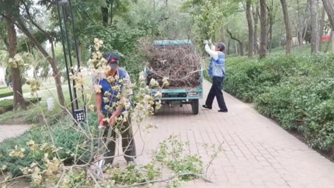 德州锦绣川景区：清除杂草NG体育娱乐美环境我们在行动(图2)