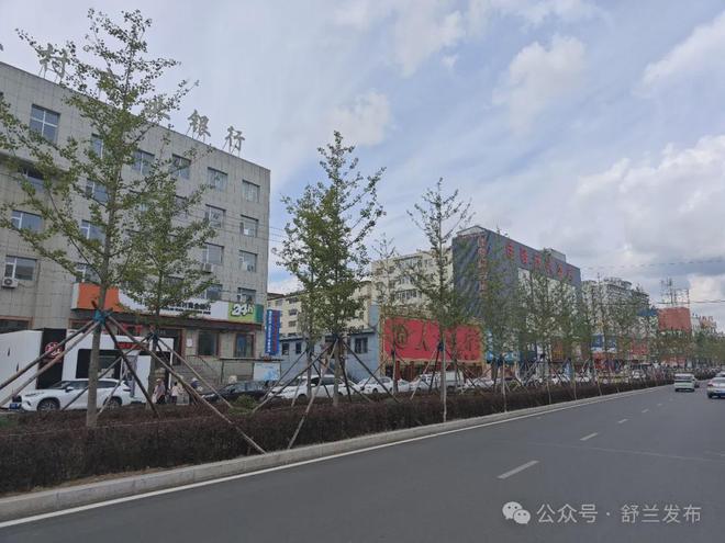 NG体育官网app下载舒兰市：植绿添彩打造街景新貌(图2)