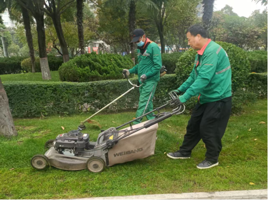 加强园NG体育平台林绿化管护 提升城市绿色品质(图2)