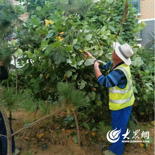 NG体育官网app下载烟台园林：推进秋季绿化养护 打造优美城市环境(图2)